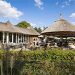 Cosy brasserie terrace at Het Genieten