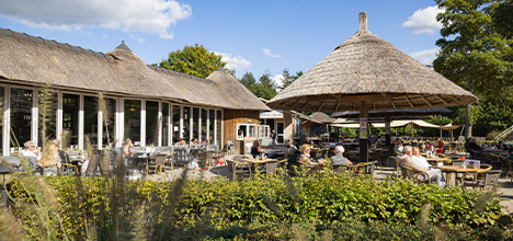 cosy brasserie terrace at Het genieten