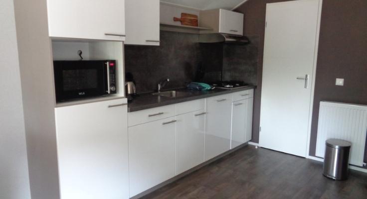 Fully-equipped kitchen in white with a microwave, four hot plates and storage inside the Premium mobile-home